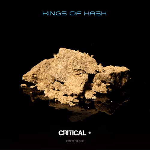 Item #11778203385861347349275345224081259991327063537749380274759322624055150903297 Media