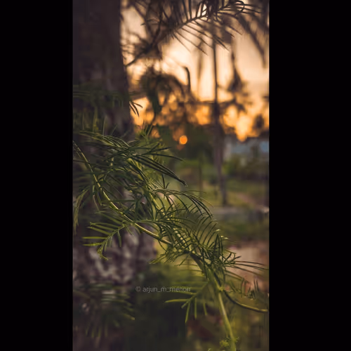 Item #96373460507912281939903112807065392587728079623754575039603803294846341349377 Media