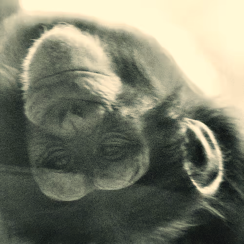 Item #105394010161551018097936078642910549059002323015222353178191528915590503727105 Media