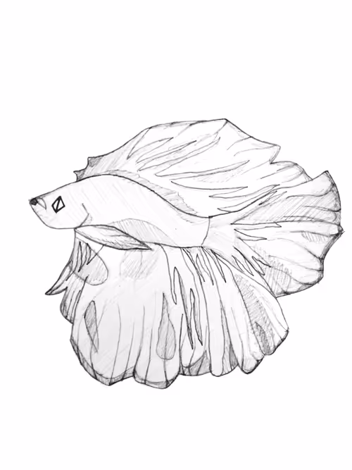 Item #21782199312368670970242189760663991903932470876849492131182457873648301637633 Media