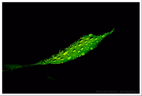 Item #101987082713551675715175857795119519982580221361588588110170162948466171445249 Media