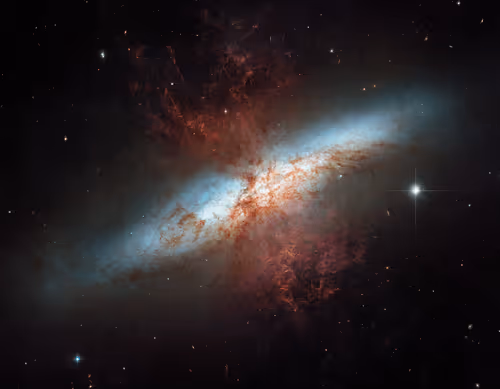 Item #48123260108416216485386866819872412066587216369492635371751054045342286741505 Media