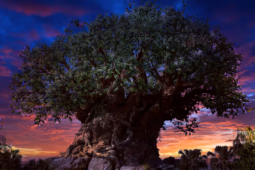 Item #88004996534824683595530724546599971679500479885653343253103225462722884796417 Media