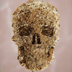 47176454807076825679431215681833454926344141321117842083750283158735309242369