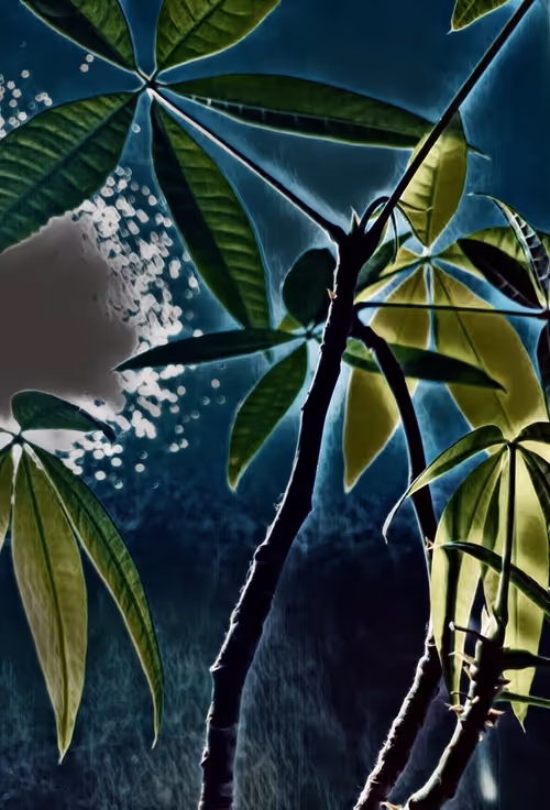 Item #30359339531984443542444511240480786865345556688748183527514009986643575963649 Media