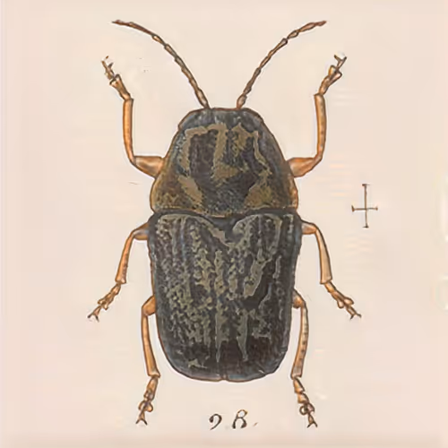 Item #58241160855422744817468407088196322100109565521561100950236904577218390261761 Media