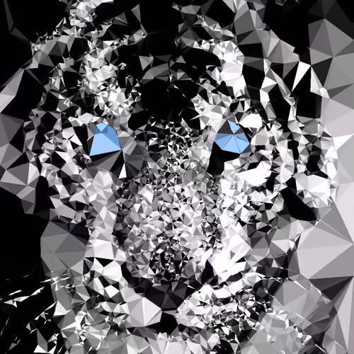 Diamond Tiger