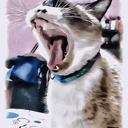 Screaming Manny 