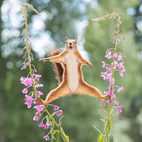 Item #41723246610632705543282218396403645401617984070439185990108432289805922992129 Media