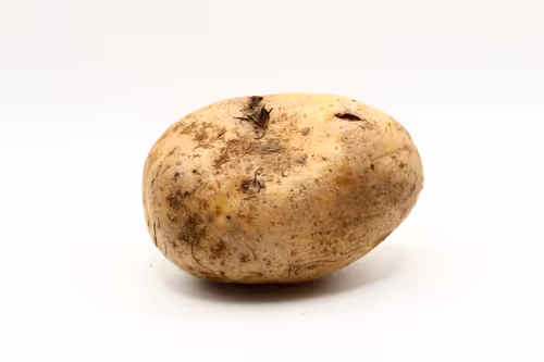 Item #97726151104522163495278545296769301934737660224123995419035737094902184411137 Media