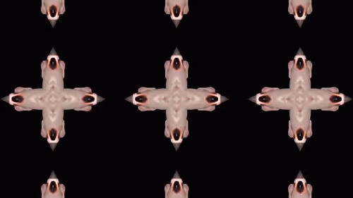 Item #24903874531350115991913359074638014120394763804843076394666795077590382018561 Media