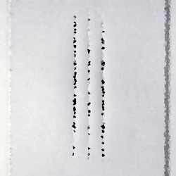 NF#11