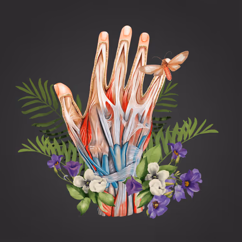 AnatomyLife Collection Hand 449