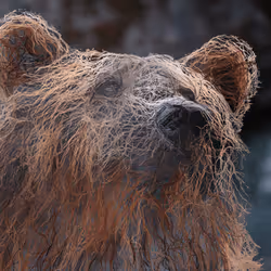 11276162529628641556553056529614973332754405277106184420845745018024614690817