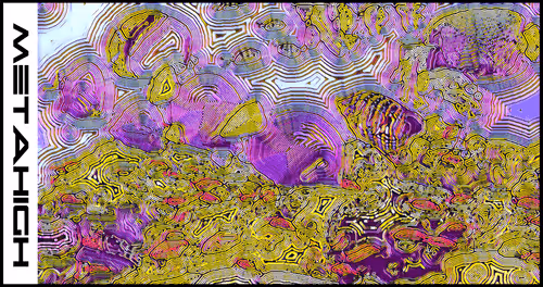 Item #111540759440703389397648193115311161268908663072492376357966158679922800852993 Media