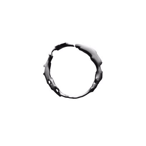 Item #25413925138604718273216109091367627771970438213072679571275042760149369356289 Media