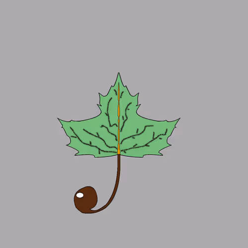 Item #67442861663334708568431626599499864796798009138674433109352703413600758267905 Media