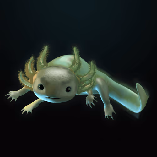 Item #39982110375740153587505644478940195082872270202471884348459982131507079675905 Media