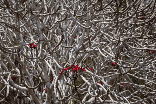 Item #105679162715773690367894814568251153202929894369313826483118647801509555732481 Media