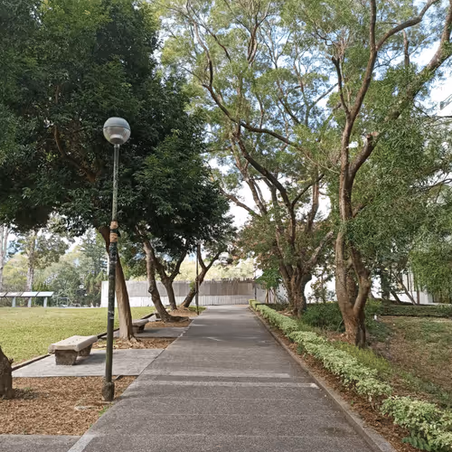 Item #55498827453282751112994663474612527609893380765469579837476847578133890596874 Media