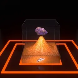 30416664768498730083160680636723480070814186252642691524355120837396497694721