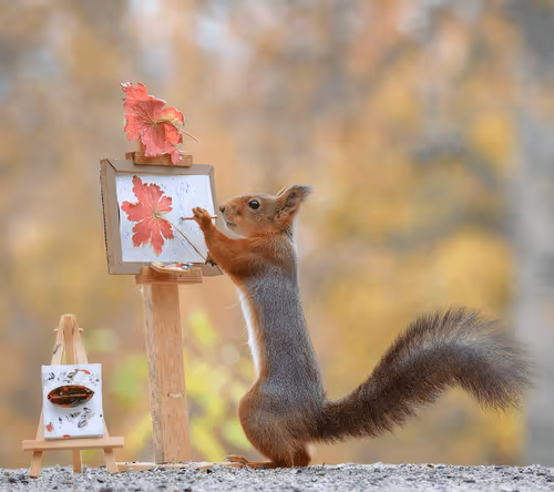 Item #41723246610632705543282218396403645401617984070439185990108432313995178803201 Media