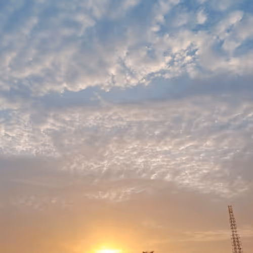 Untitled Collection #254813144