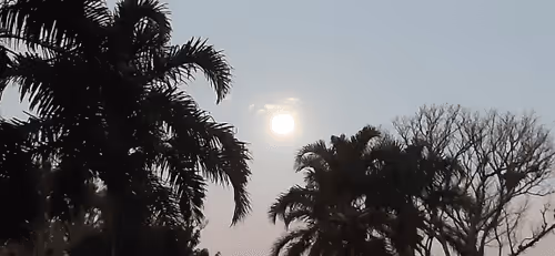 Item #67861325628159038088837015362560140858194589244017244618959753776126264082433 Media