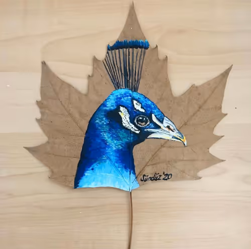Leaf 12