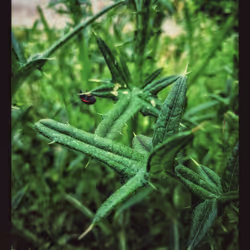 3787080761074609709675817509753112159059746763483256848434353917336710283265