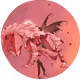 114243457452016155447444461427666406762881238665165816494326784264972202409985