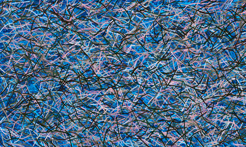 Item #37671797252818830032645010018488858802778721291022166209366081447667487997953 Media