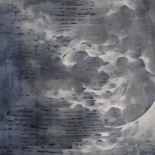 Item #31764324075162272128764089693147996688121662405386774296718910229641380757505 Media