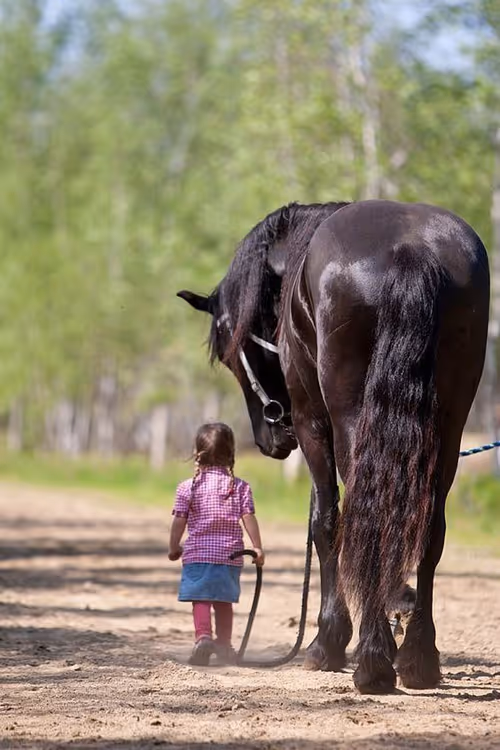 Item #2468119463308914702005443652102614178506533567319377457804557043853384744961 Media