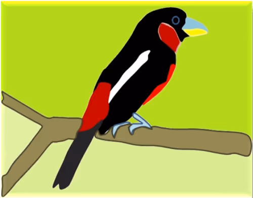 Item #32457865863023369890219880679723882543251363606923006960540642001525137211393 Media