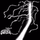 17510376665817877349330101099945450942113426013751499946208680145113946521601