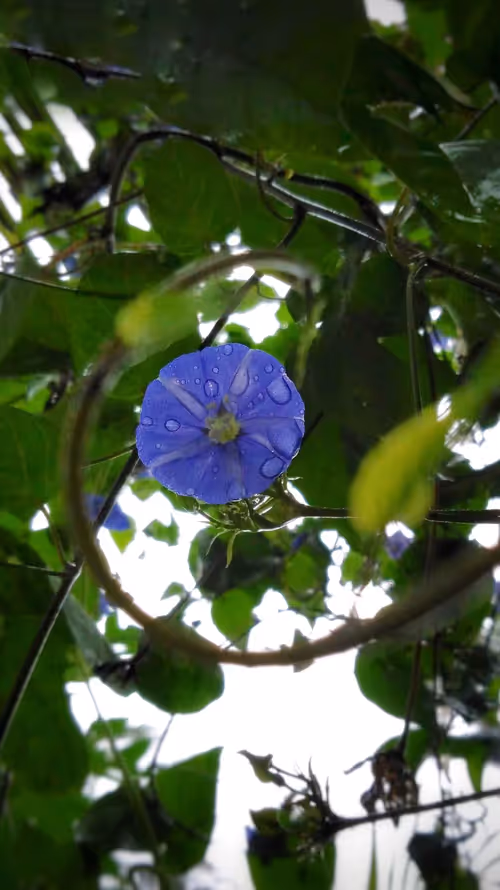 Item #96373460507912281939903112807065392587728079623754575039603803270657085538305 Media