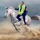 20157261386579170798484102184692799981539104466587402433711085657338515816449