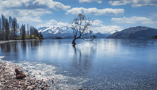 Item #26636344578717920692700769935313843753450649801489178954925375890036721975306 Media