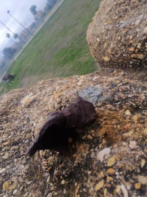 Item #112734530857144882359999642701628212224458434027144103607303888264704936640513 Media