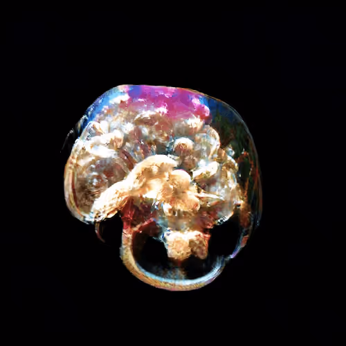 Item #4750064852715738149564930854294668621974194112560083604087540655577731432449 Media