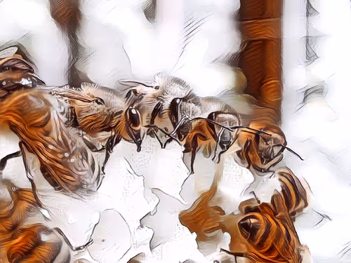 Item #101599579626109009666607068920778550362968334718480795982881728485859176480769 Media