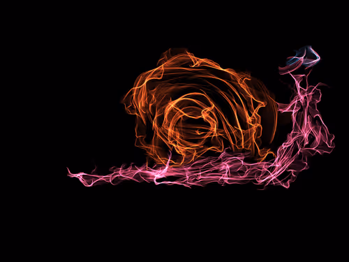 Item #78383002383355944225959986236547179182726831063030231167604627898112231342081 Media