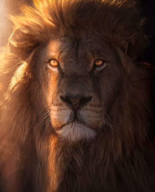 Item #113521178305738834012148518391550550346987699669126125358931063153507797303346 Media