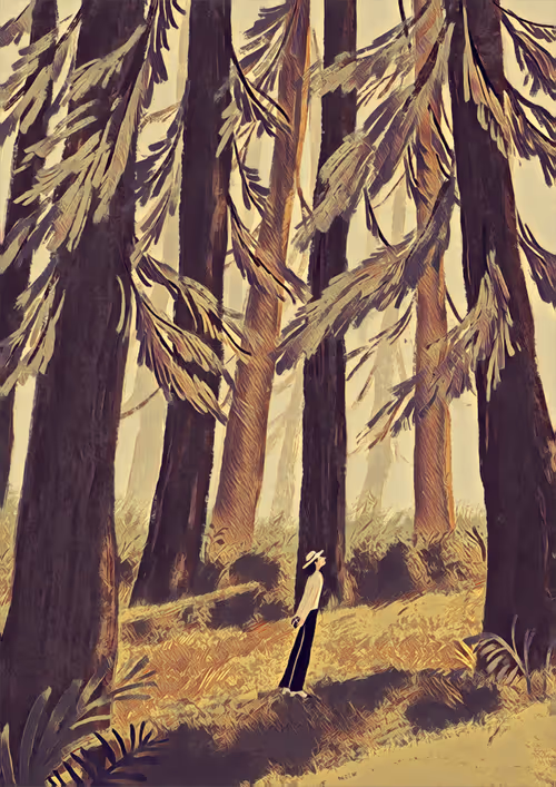 Item #41608778857690482487411606107507343250395388084249972998387532090880158597121 Media