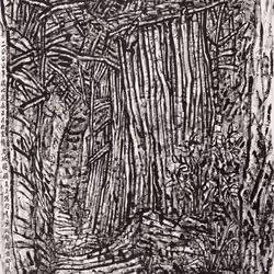 #50: Path In The Woods.