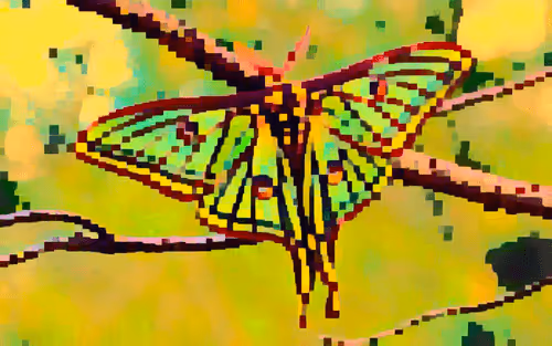 Item #74568048436549785885931702817516409477339099053412975047952570536011713479156 Media