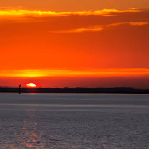 Item #26716573424362910686094890612564757125162435298919504221190392445465211699201 Media