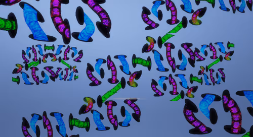 Item #41423174657448755454775180770704774351895892577704630438802697534678809706497 Media