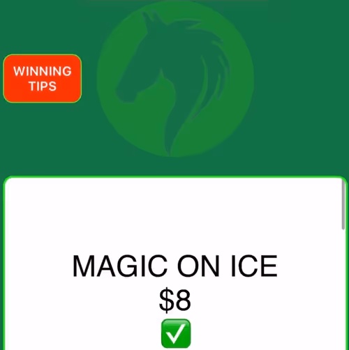 Item #51922292769306561888057483883815671452326240140490400852528659683007346507777 Media